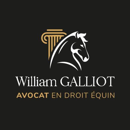 logo galliot noir