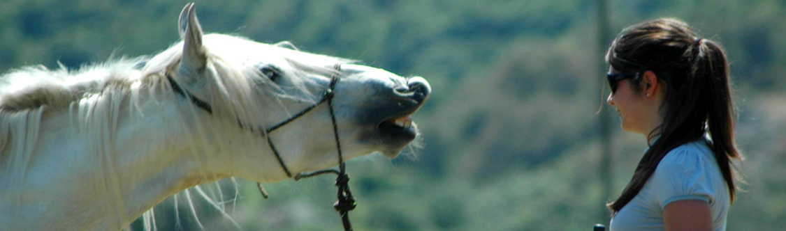 ouragan flemhen maeva