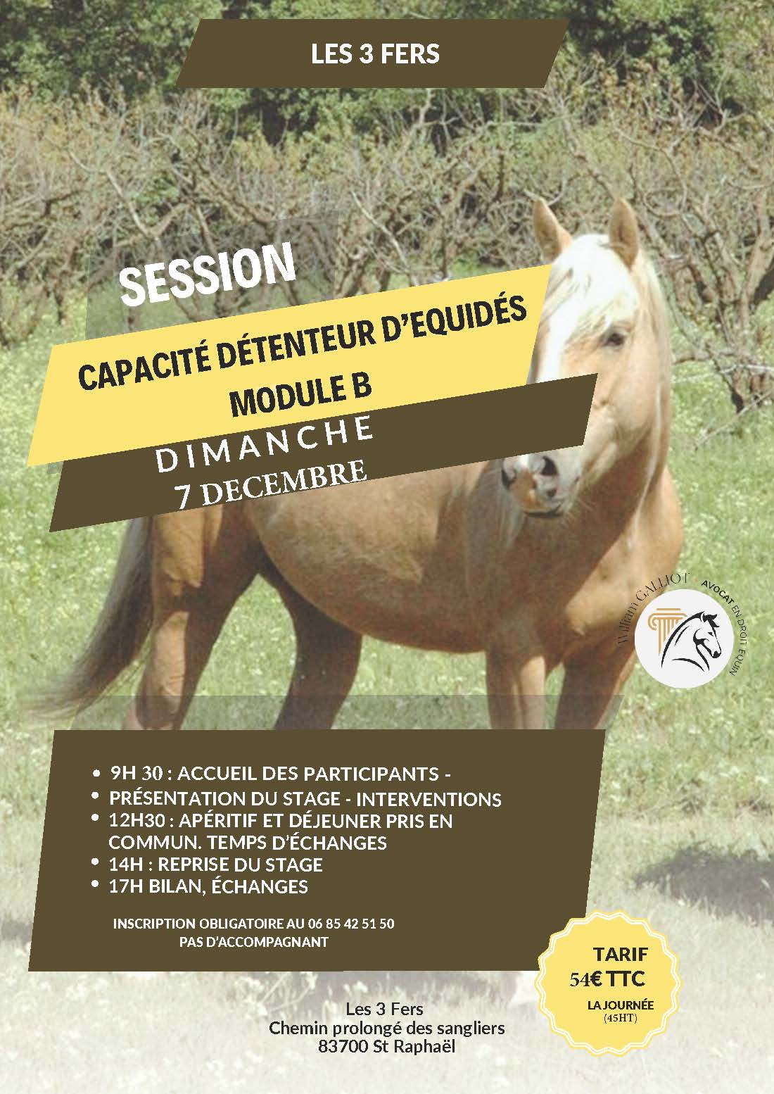 satge capa det decembre